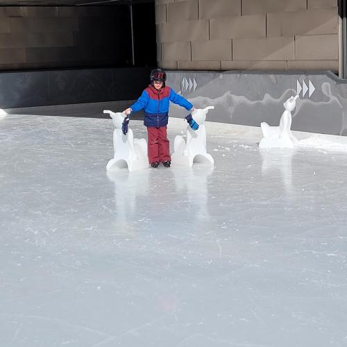 Eislaufen