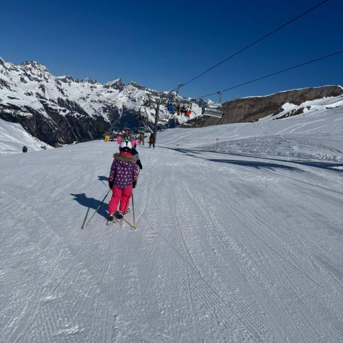 Skitage