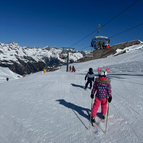 Skitage