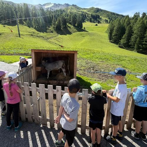 Wandertag